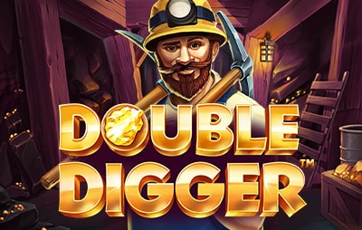 Slot Online Double Digger