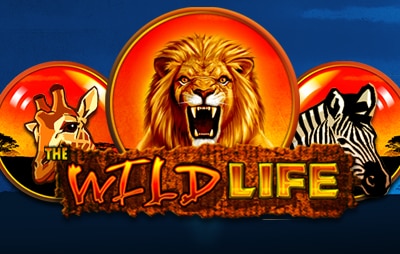 Slot Online The Wild Life