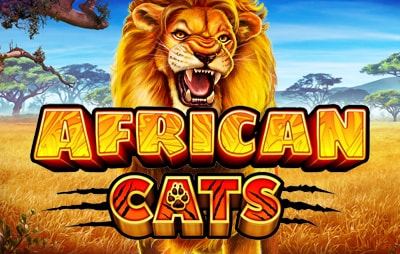Slot Online African Cats
