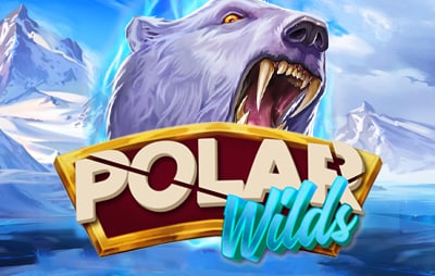 Slot Online Polar Wilds