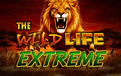 Slot Online The Wild Life Extreme