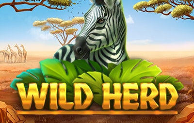 Slot Online Wild Herd