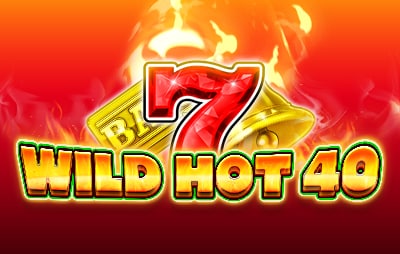 Slot Online Wild hot 40